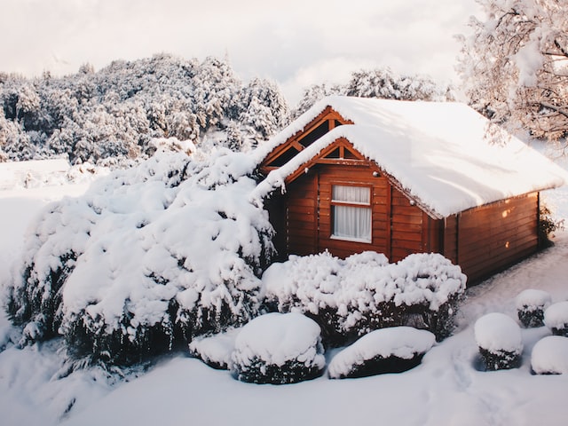 大雪压青松，静待春暖花开